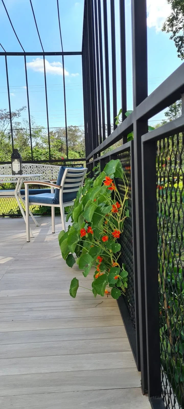 Deck de la cabana blanca con baranda de hierro negro, sillon de cojin azul y flores naranjas, vista al jardin.