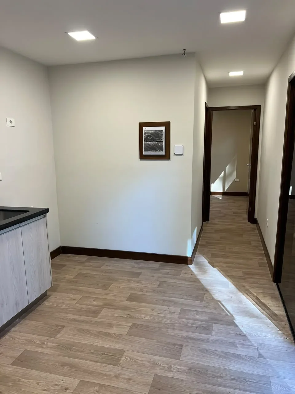 Ambiente de casa de contenedor nueva con piso laminado, kitchenette de granito negro y pasillo con puertas de madera oscura, listo para entrega.